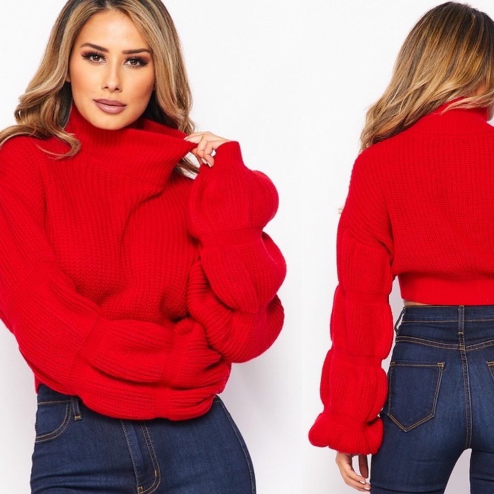 Holly Berry Crop Sweater from Hera Collection